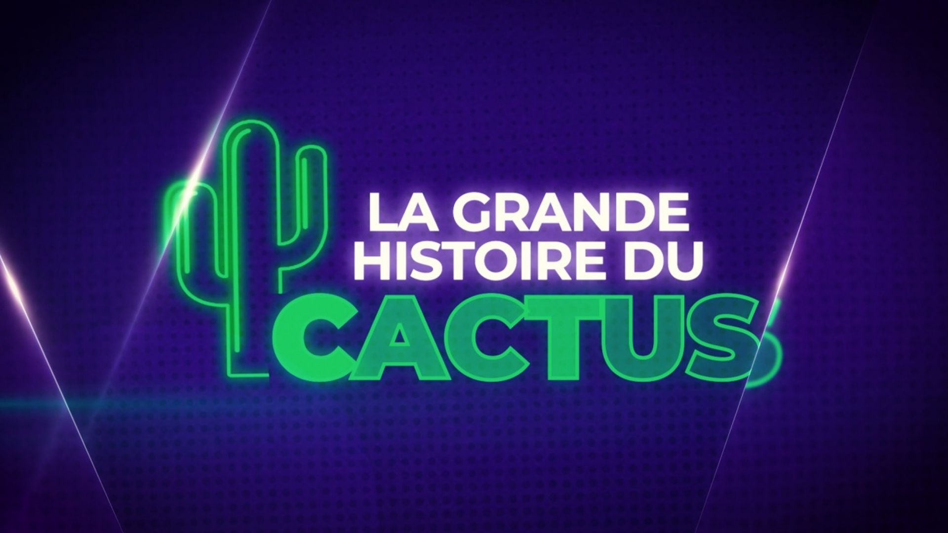 La Grande Histoire du Cactus