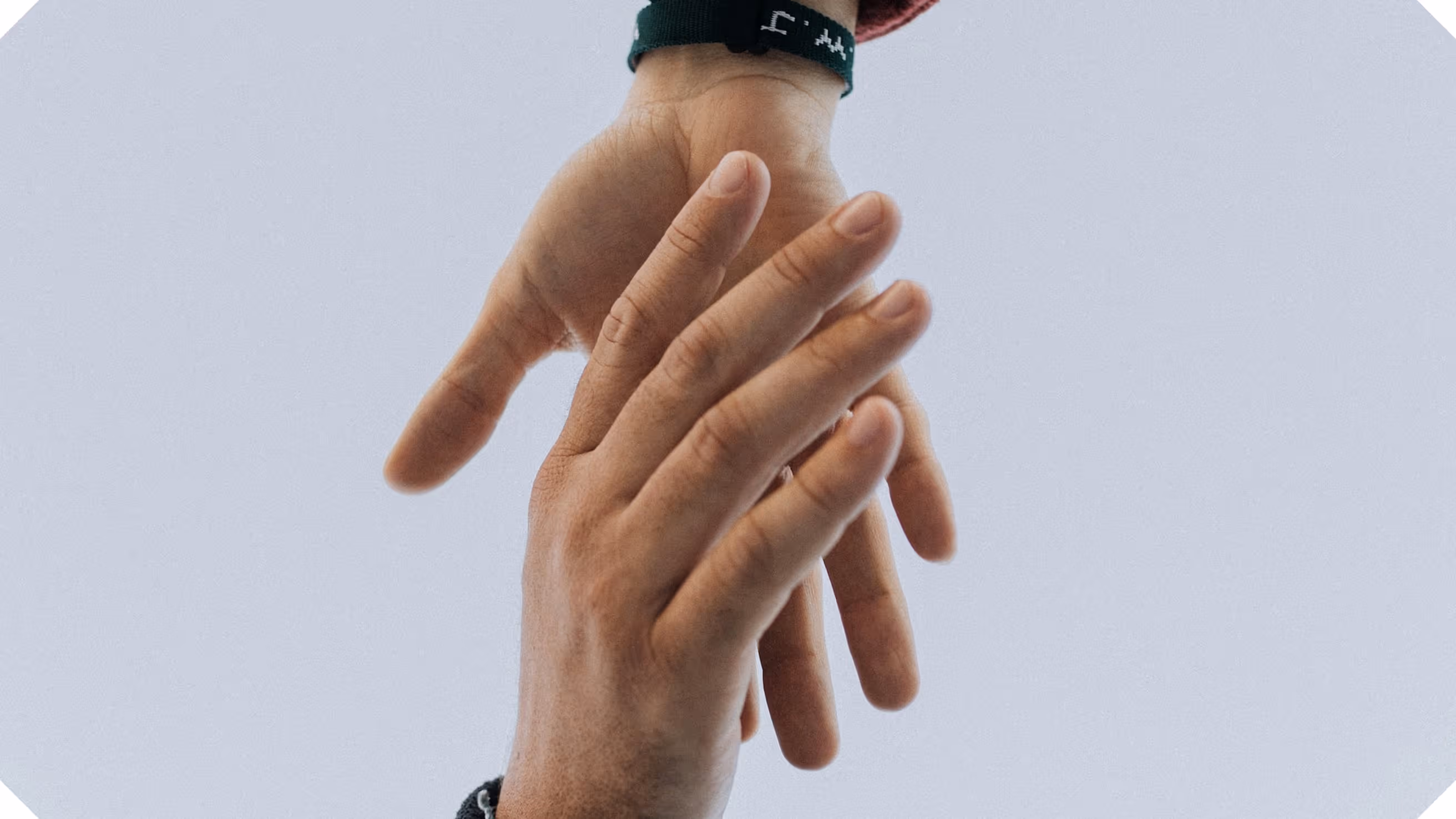 a close-up of a hand