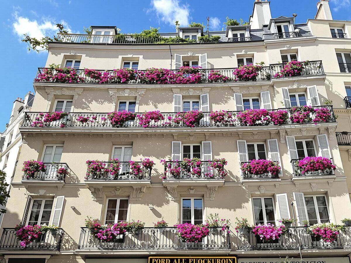 Parisian building with vibrant pink flowers adorning every balcony