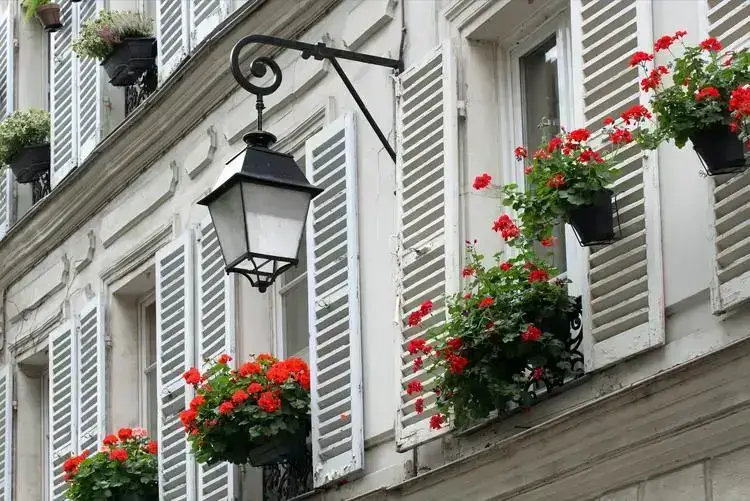 Façade d'un appartement familial à Paris, ornée de volets blanc et de fleurs rouges.