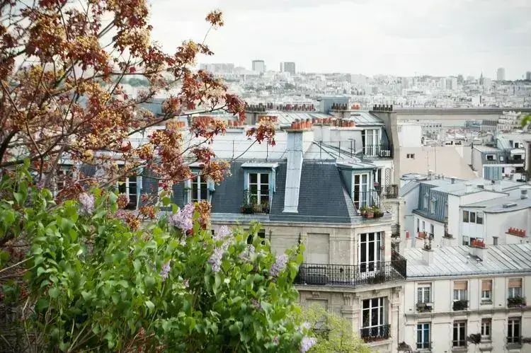 Vue sur un élégant immeuble parisien, entouré de verdure, avec toits typiques et magnifique panorama urbain.