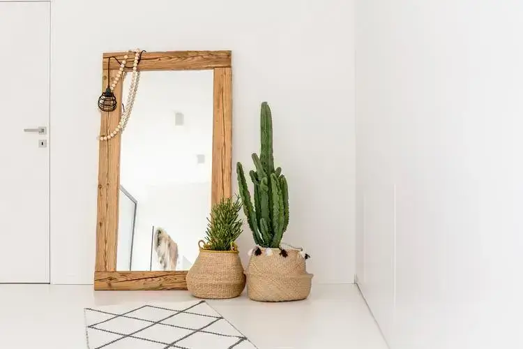 Entrée moderne d'un appartement à Paris, avec un grand miroir en bois, des plantes en pot et un tapis graphique.