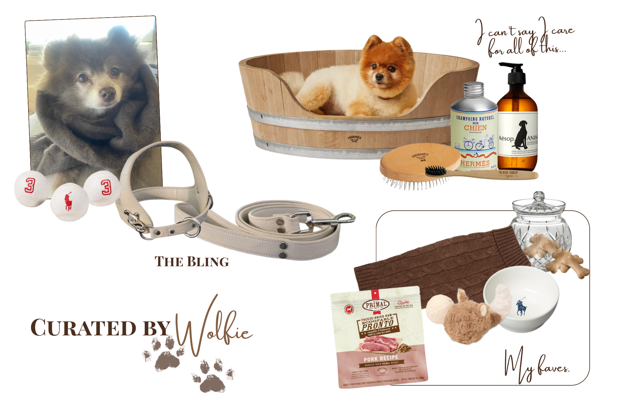 Flat lay featuring luxury dog accessories—Luigi Bollini leather harness and leash, Polo Ralph Lauren bowl, Waterford treat jar, Aesop pet wash, Primal raw food, Canine Styles cashmere, and Chewy finds—Curated by Cori Wolfie Walks edit.