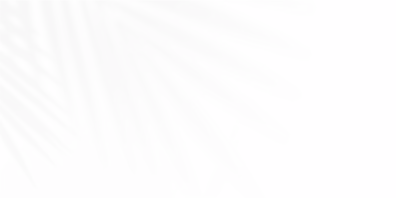 Vet Clinic Leaf Shadow Background