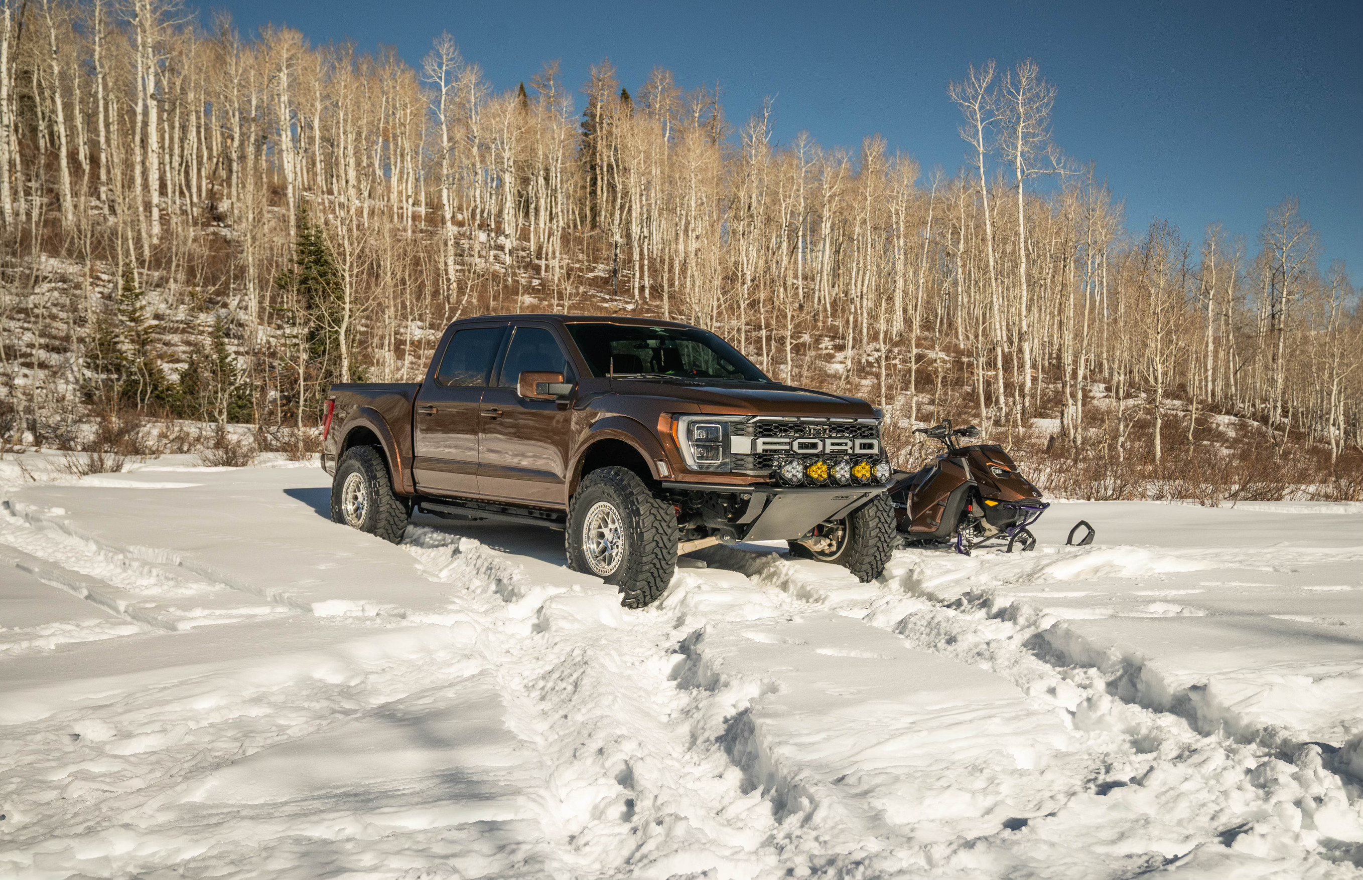 Utah's Auto Customization Pros