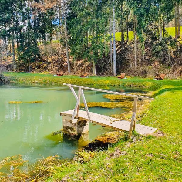 Holzsteg mit zwei Geländern über einem Teich mit grüner Vegetation und Liegestühlen auf der Wiese im Hintergrund.