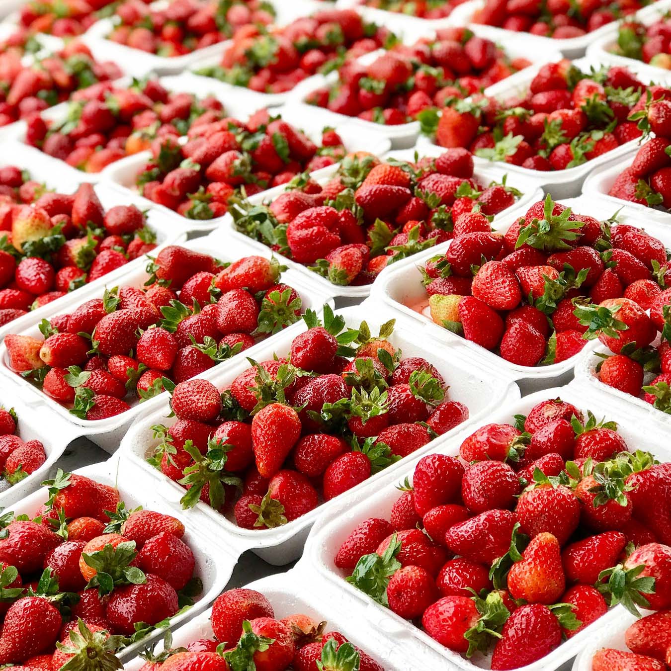 a bunch of fresh strawberries