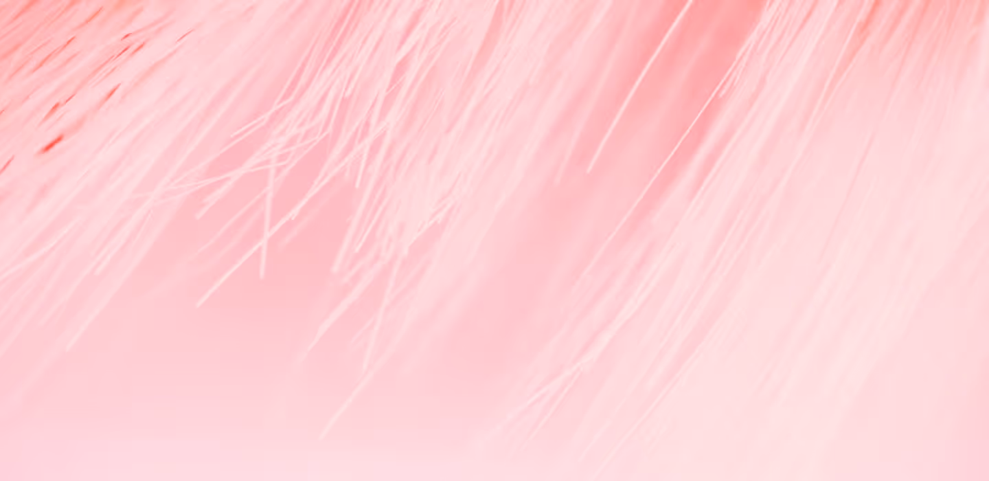 Features Image
