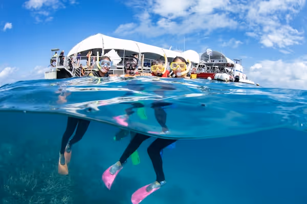 Four snorkelers floating in clear blue ocean water near a pontoon platform on a sunny day.