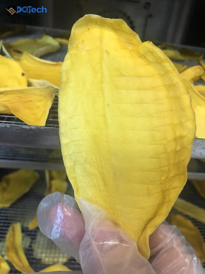 Review Top 21 Máy Sấy Trái Cây Thịnh Hành - Giá Mới Tháng Tháng 12/ 2025