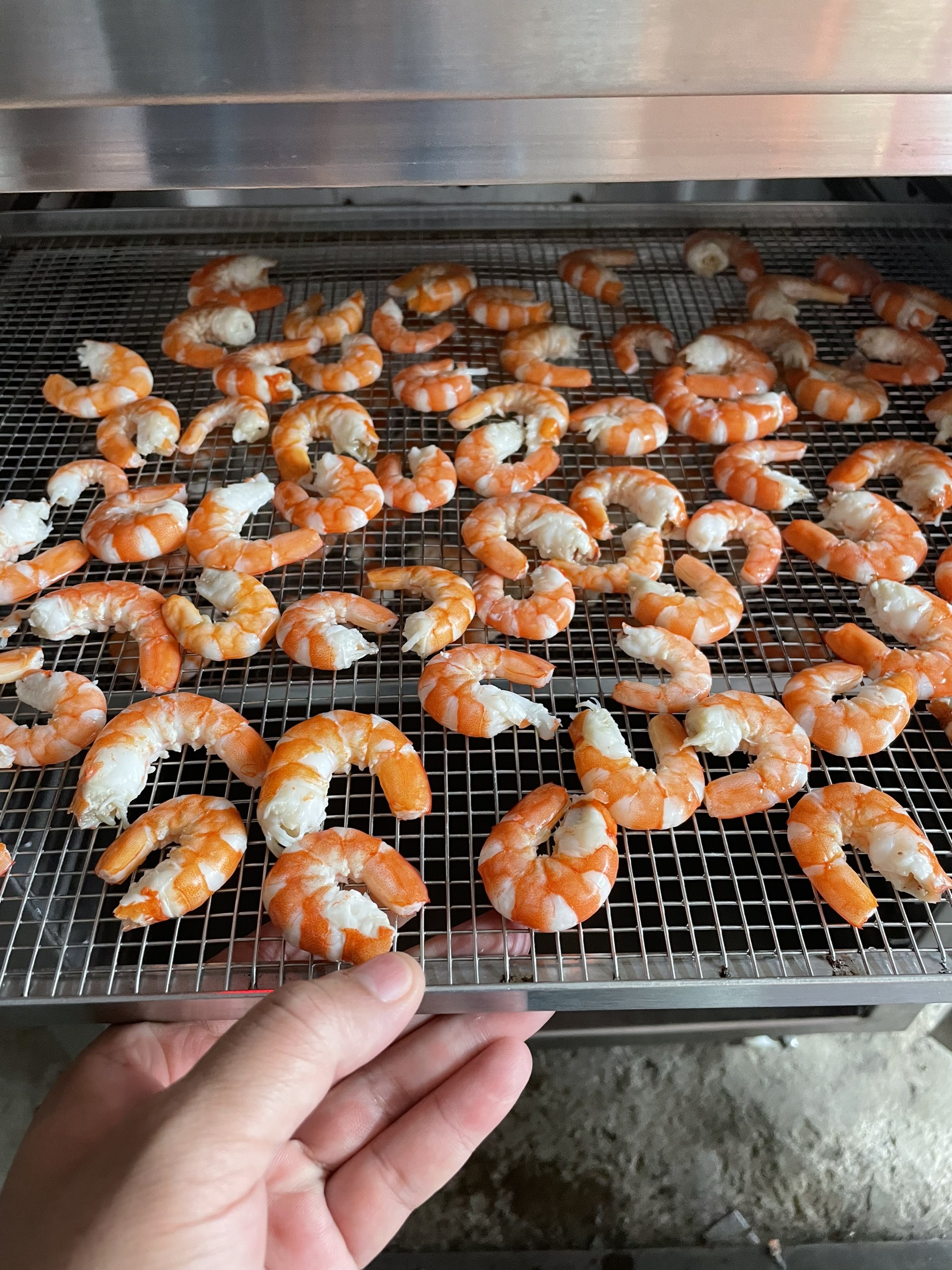 Máy sấy tôm khô DQTech