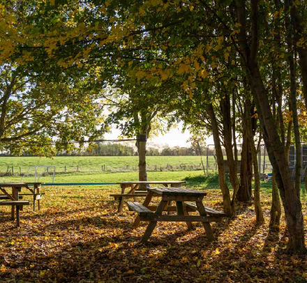 Bridge School Malvern - School grounds