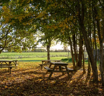 Bridge School Malvern - School grounds