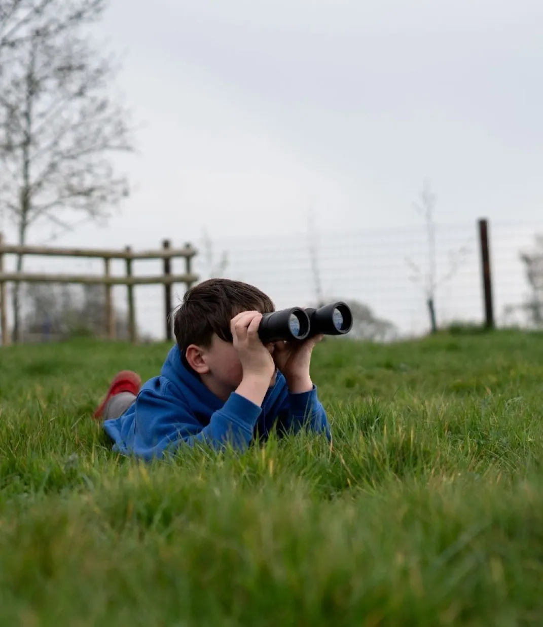 Bridge School Malvern - Student exploring small holdings in grass