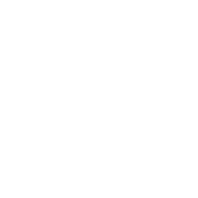 White phone icon