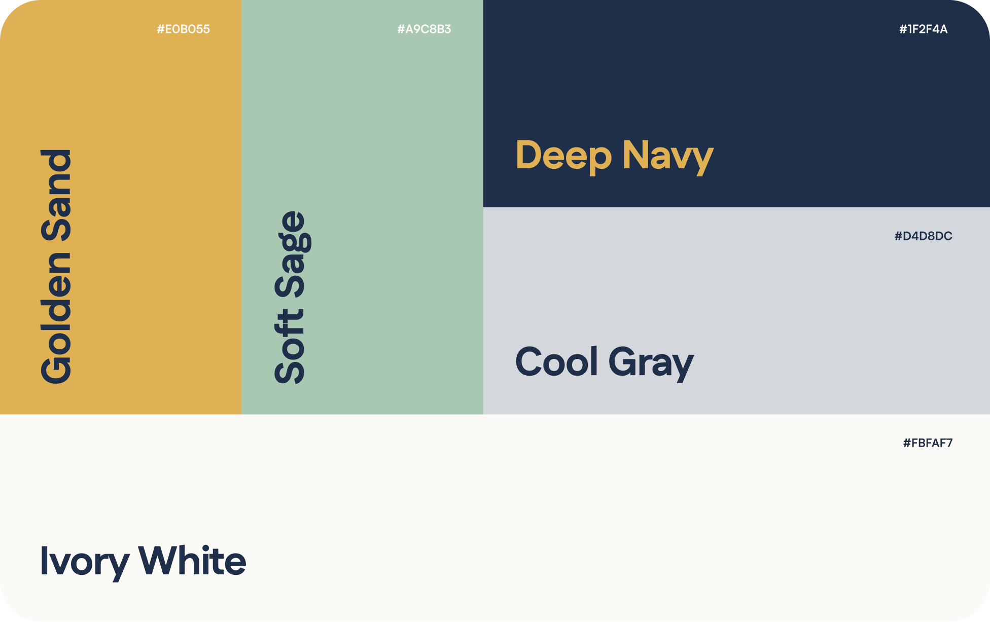 color palette of cirujano plástico md, prompted there are 5 diferent colors