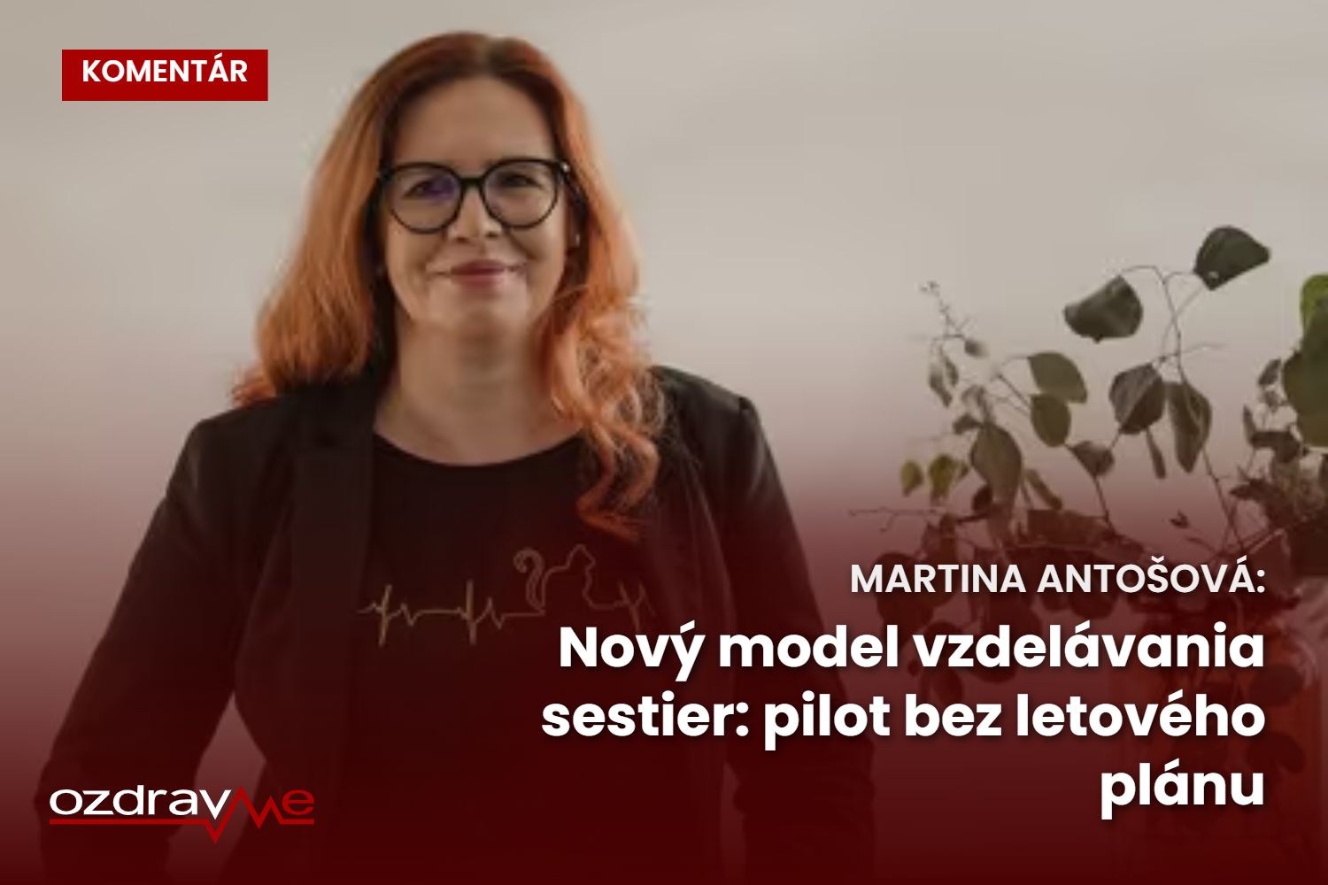 Komentár Martiny Antošovej: Nový model vzdelávania sestier: pilot bez letového plánu