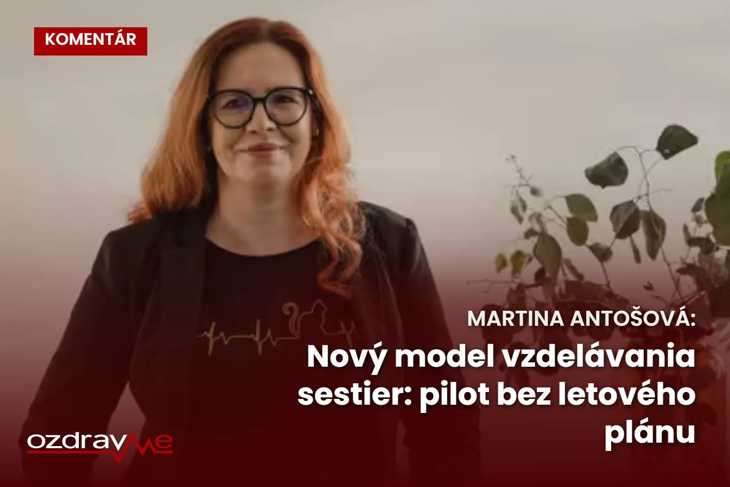 Komentár Martiny Antošovej: Nový model vzdelávania sestier: pilot bez letového plánu