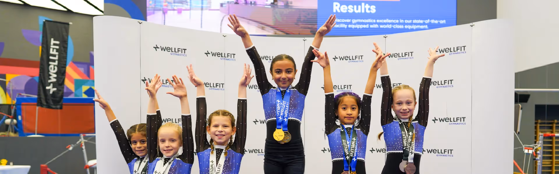 Wellfit Gymnastics