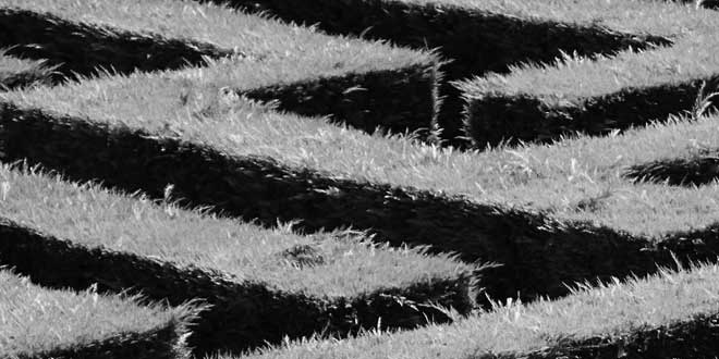 Not every complaint is a problem. But every response matters.