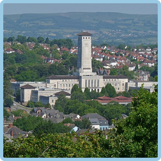 image (7)