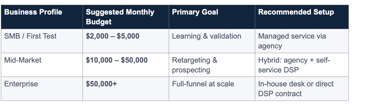 How Much Do You Need to Start With Programmatic?