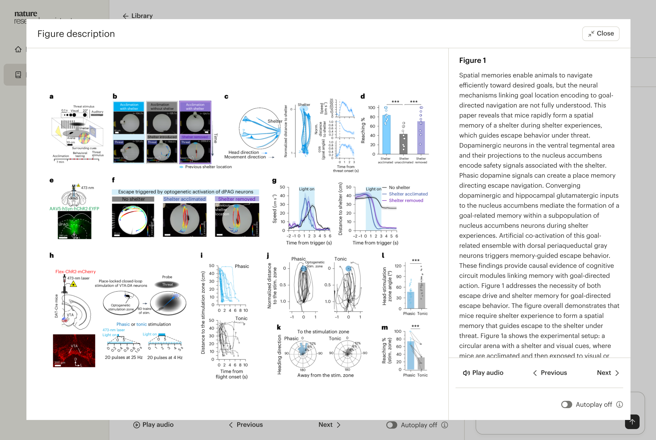 Related Articles tab in Reading Assistant displaying article text and a list of related articles categorized by preceding work, top review articles, and similar articles.