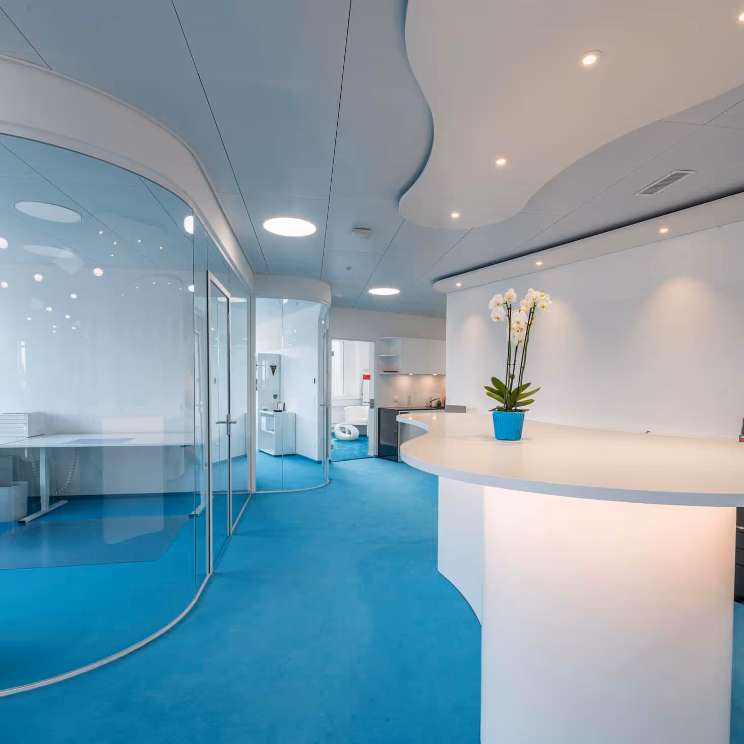 Modern office interior with curved glass walls, blue carpet, white curved reception desk with potted orchid, and recessed ceiling lights.