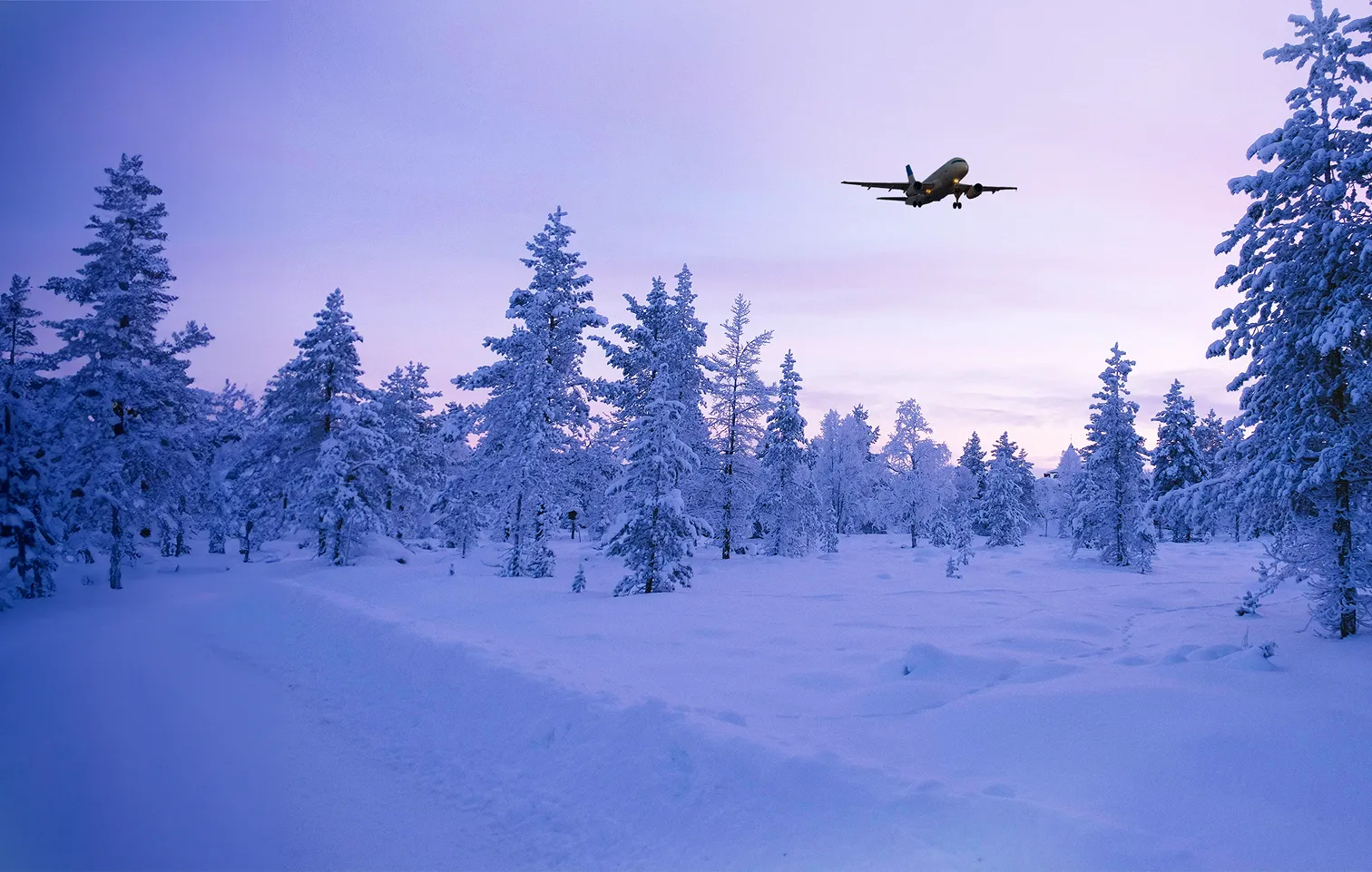 Flugzeug im Anflug über verschneiten Wald bei Dämmerung mit lila Himmel.