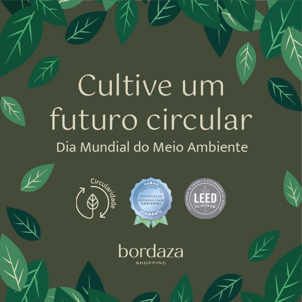 Dia Mundial do Meio Ambiente | Cultive Novas Ideias