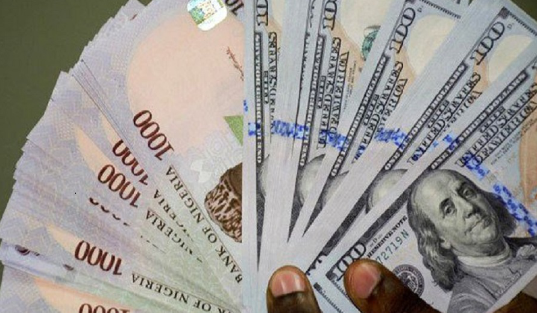 Le Naira gagne en Stabilité : Des Opportunités Concrètes pour les Investisseurs de la Diaspora au Nigeria