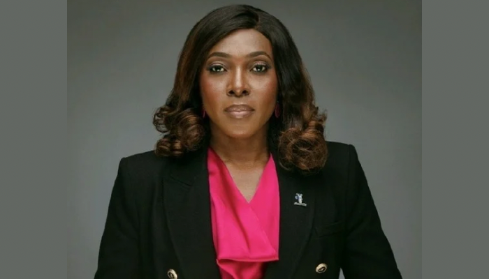 NigComSat : un géant technologique nigérian renaît, ouvrant la voie aux investissements en Afrique