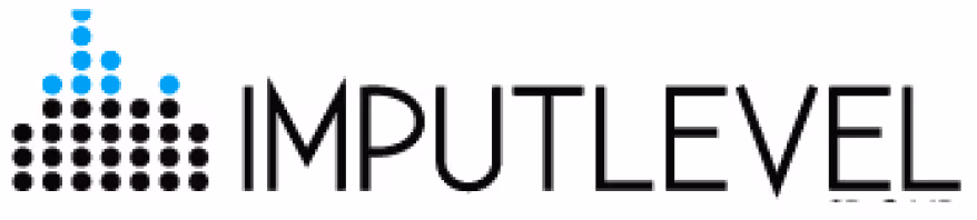 Imput SRL