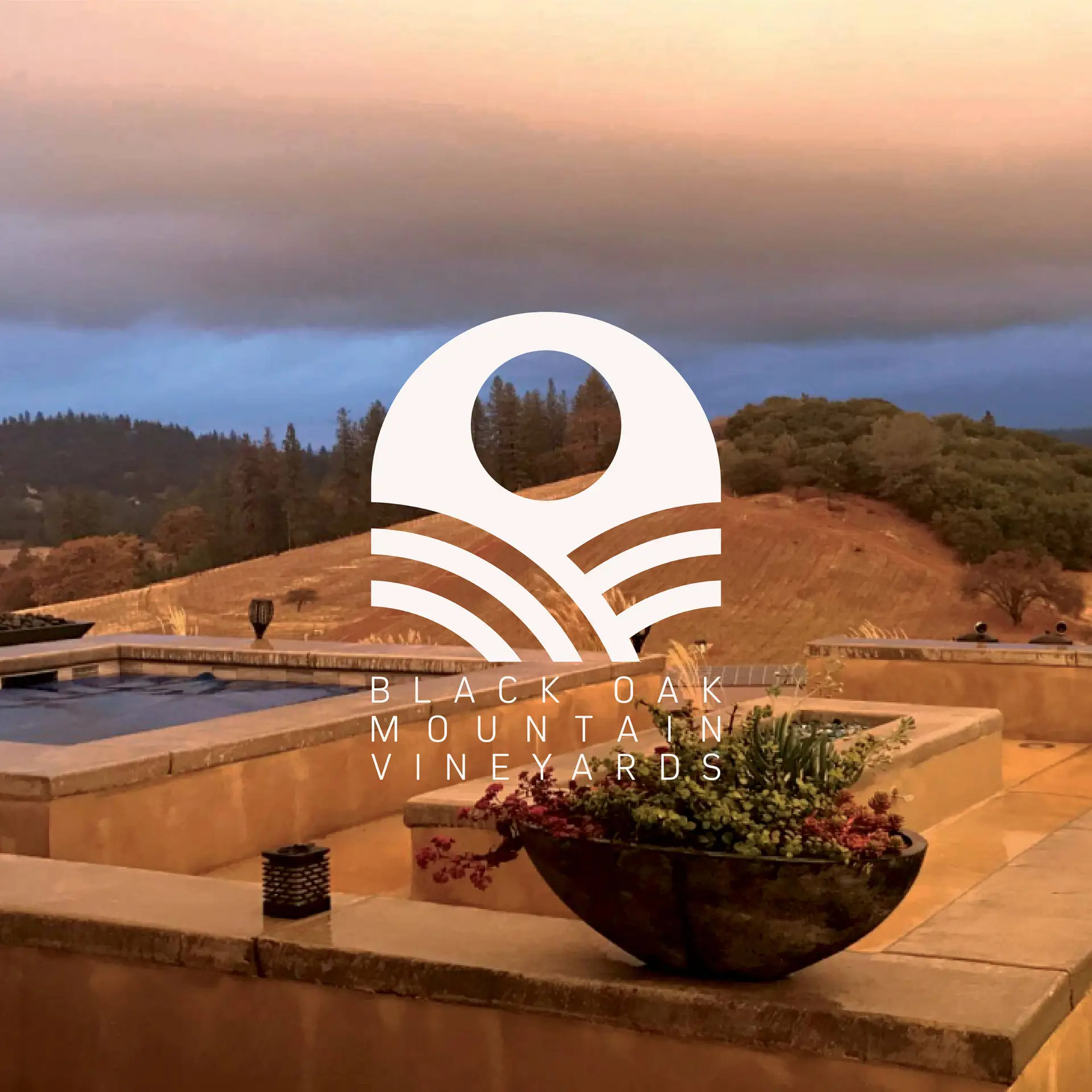 Black Oak Mountain Vineyards - Case Study
