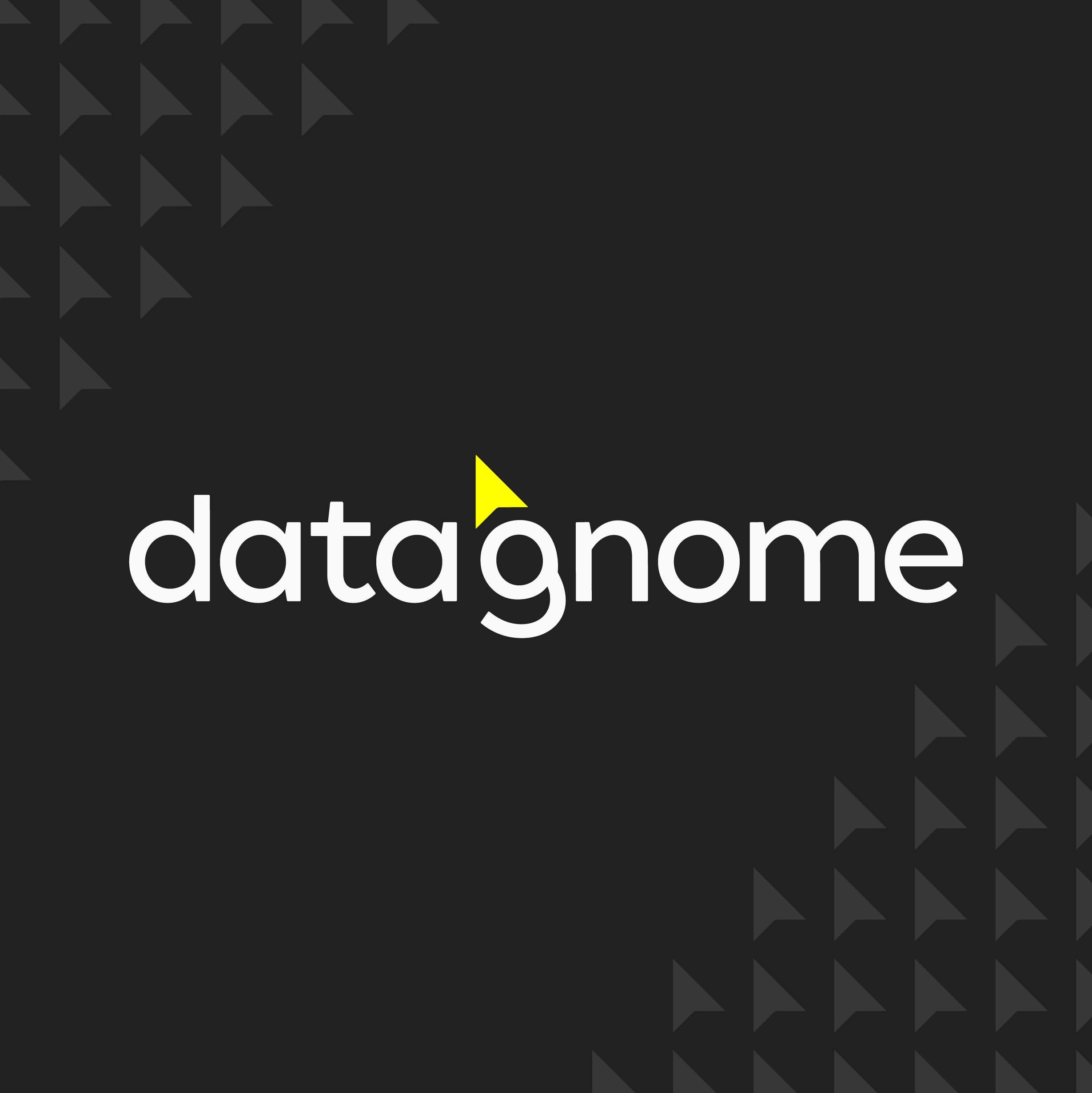 Data Gnome brand identity artwork by MTHD