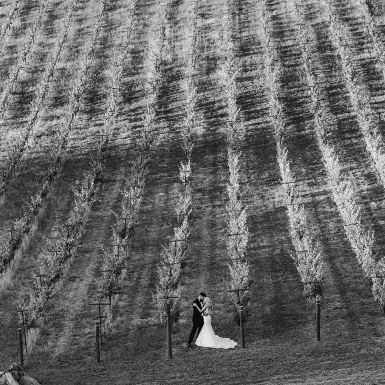 Wedding details staged at Black Oak Mountain Vineyards