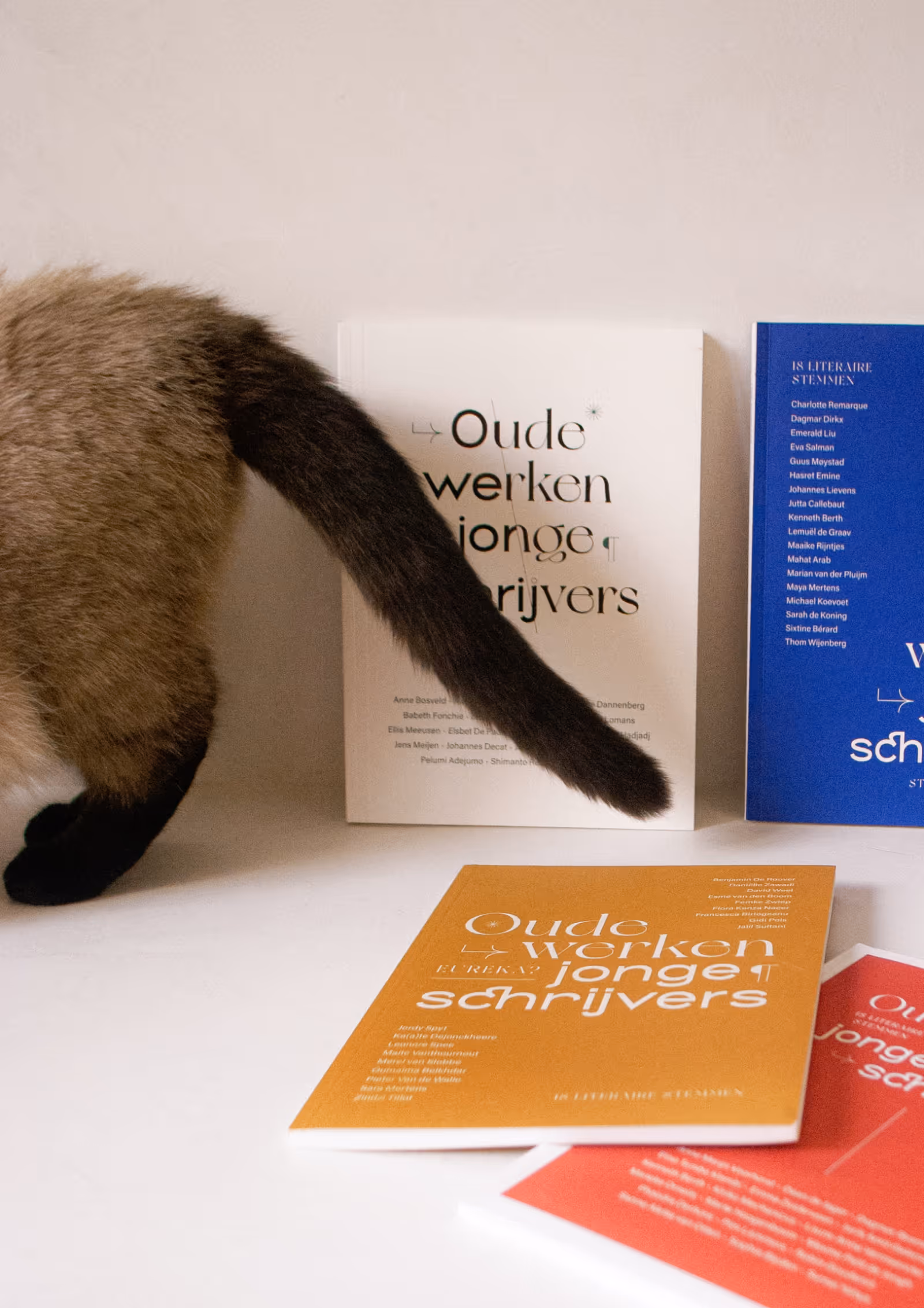 Werk Goldmund boeken