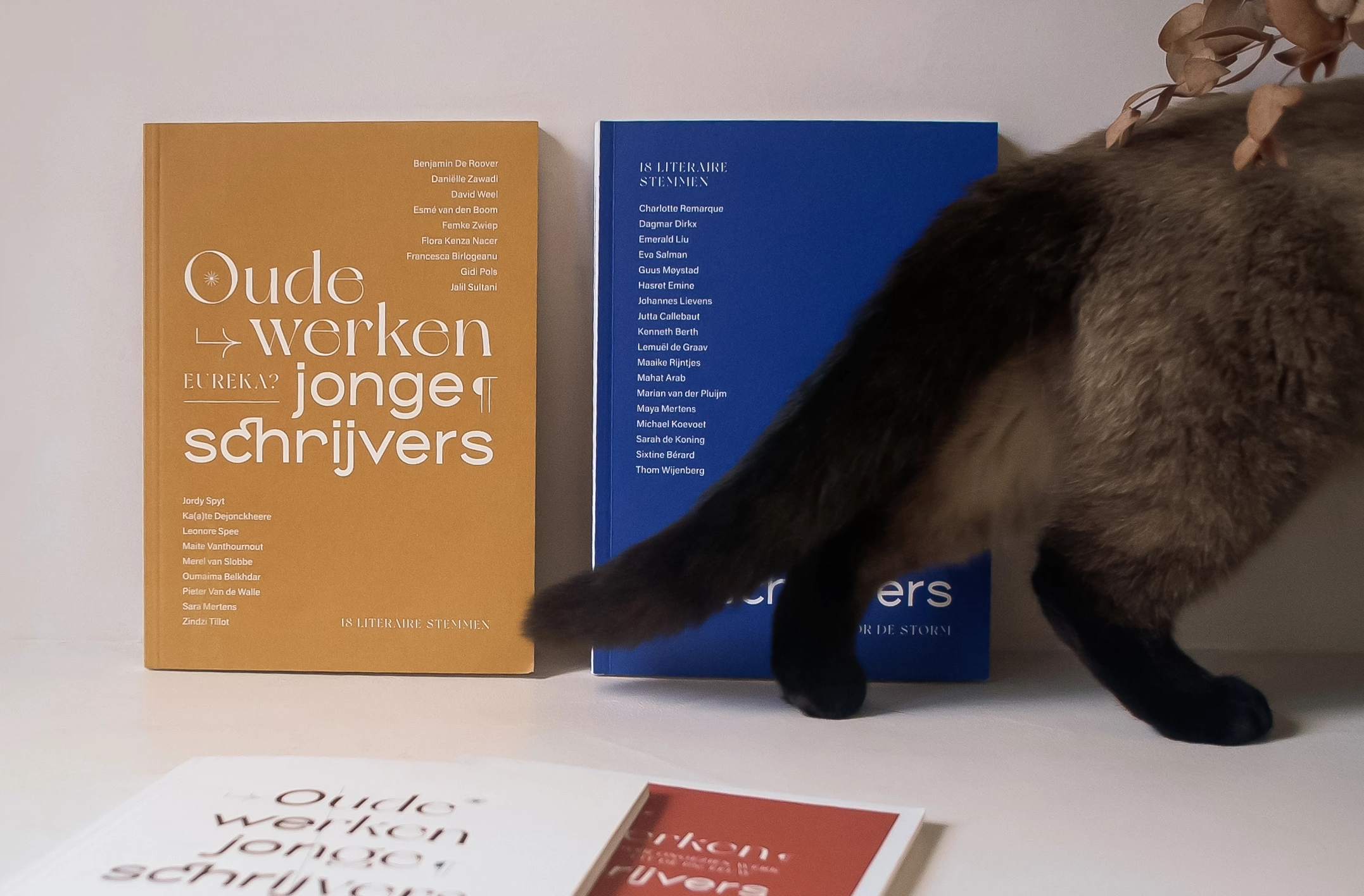coverfoto voor goldmund met boeken