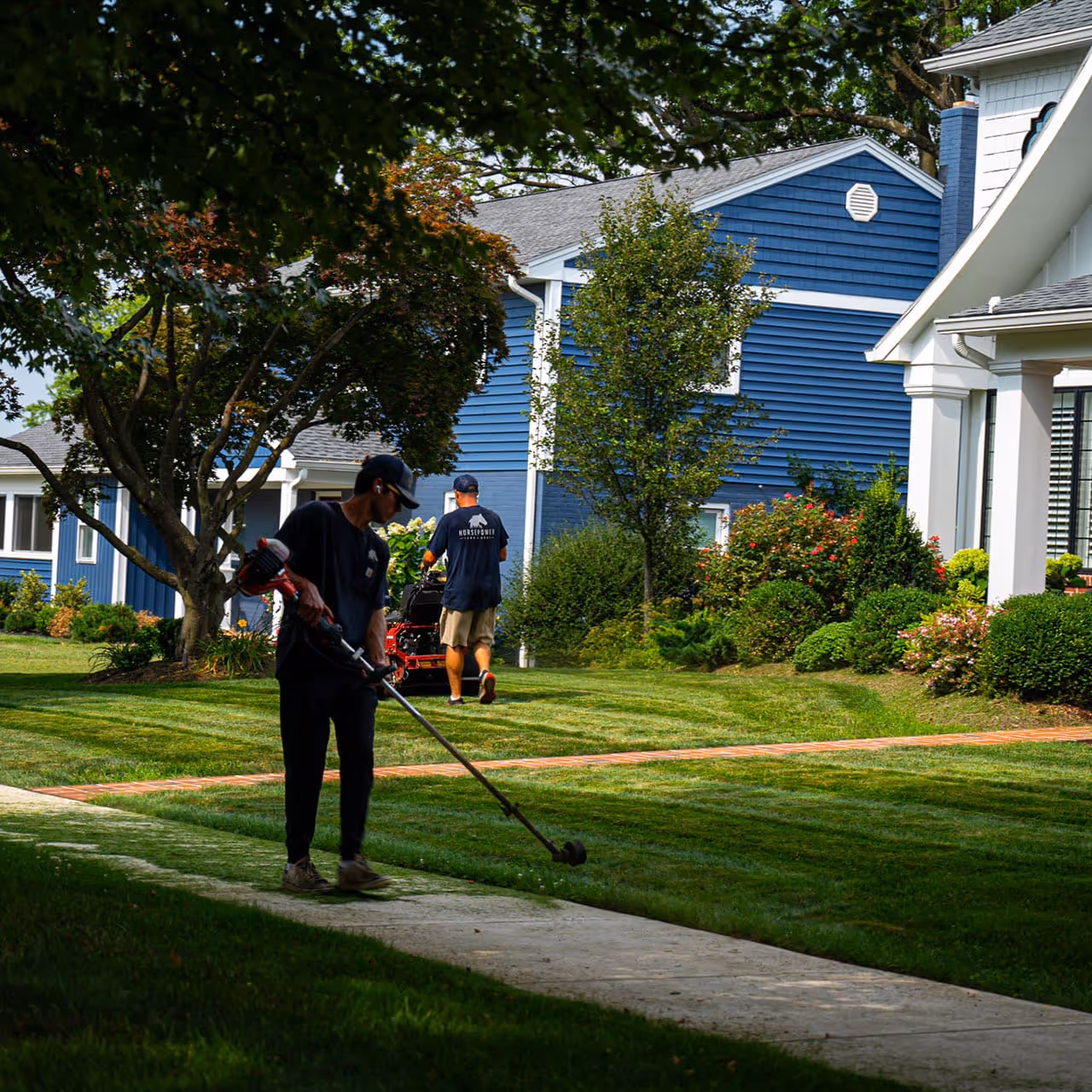 Beautiful front yard lawn care Hershey PA Horse Power Lawn and Home
