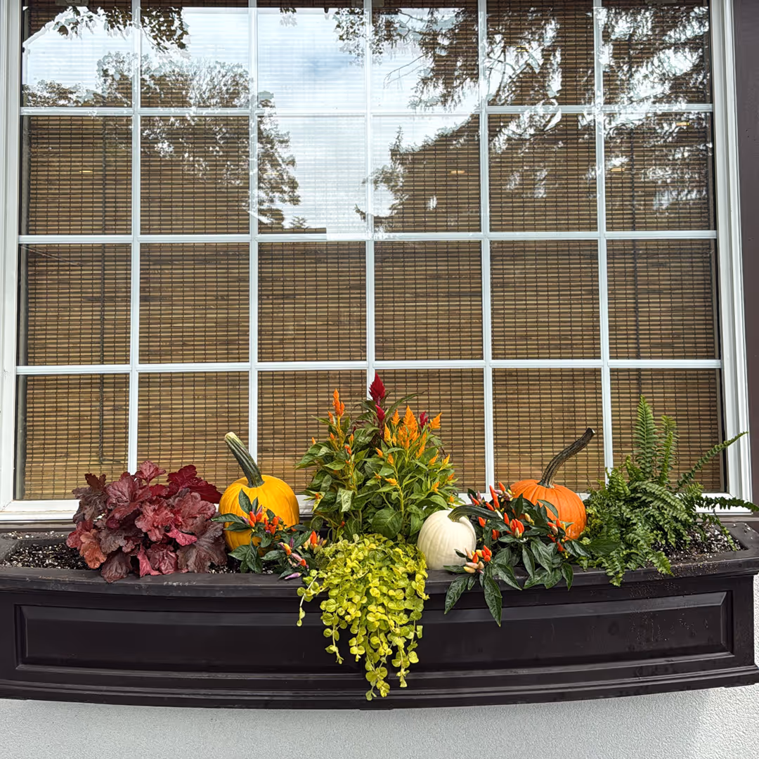 Custom spring flower pots and planters Hershey PA Horse Power Lawn and Home
