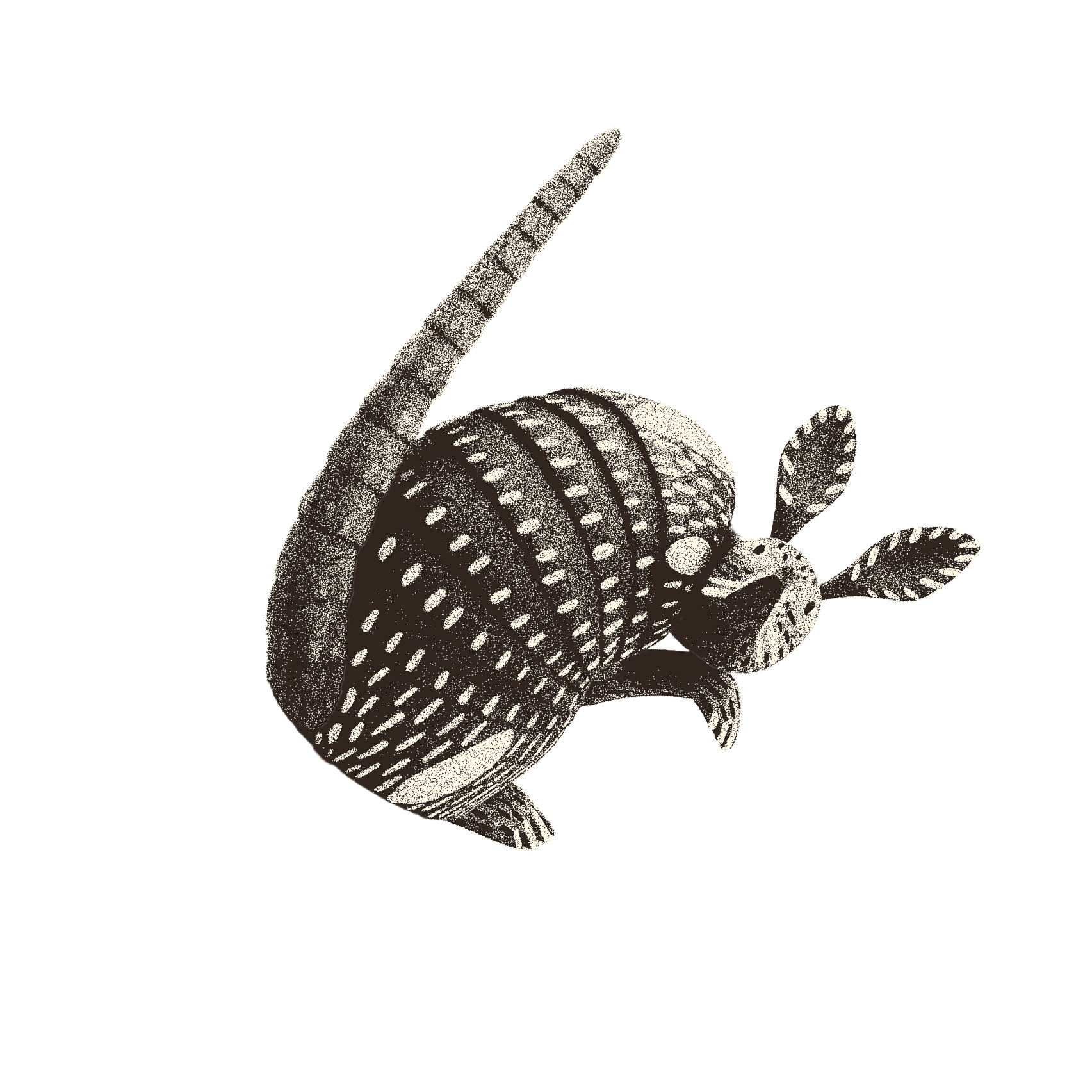 Stylized black and white armadillo with large ears and a segmented tail, shown in a side view.