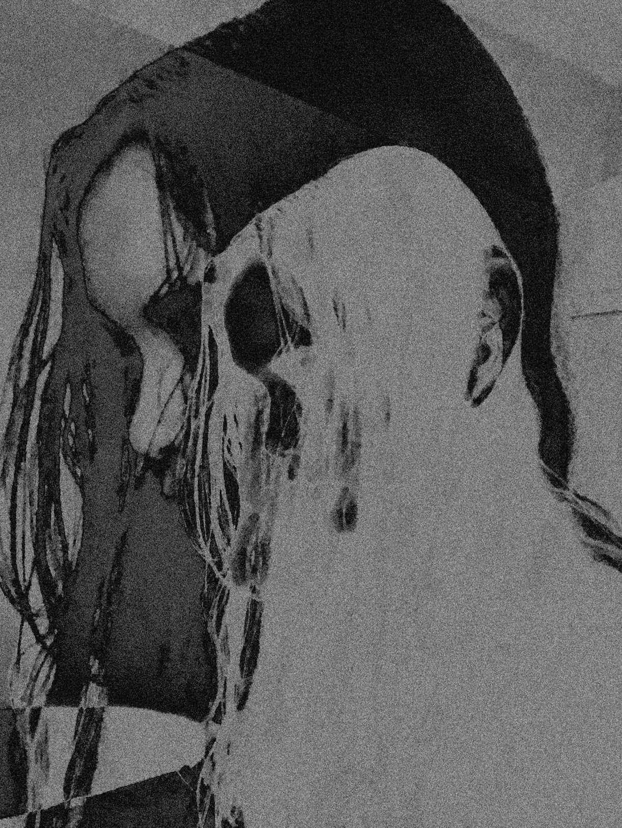 Grainy black-and-white abstract image of two faces with long hair intertwined and obscured features creating an illusion effect. 