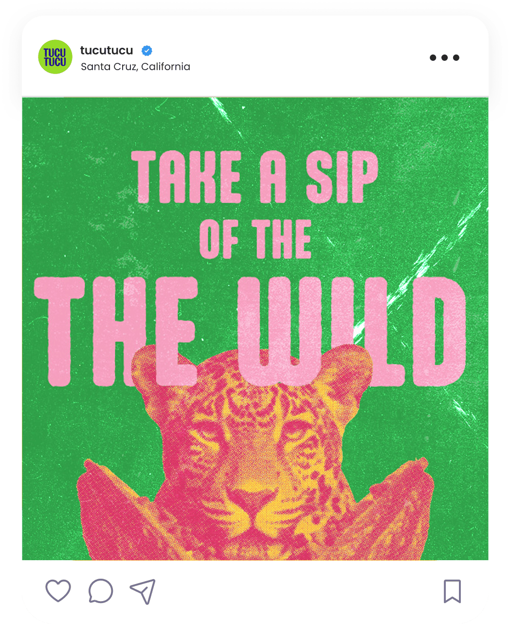 Pink text on green reads Take a sip of the wild above a pink and orange jaguar face coming out of a cocoa bean.