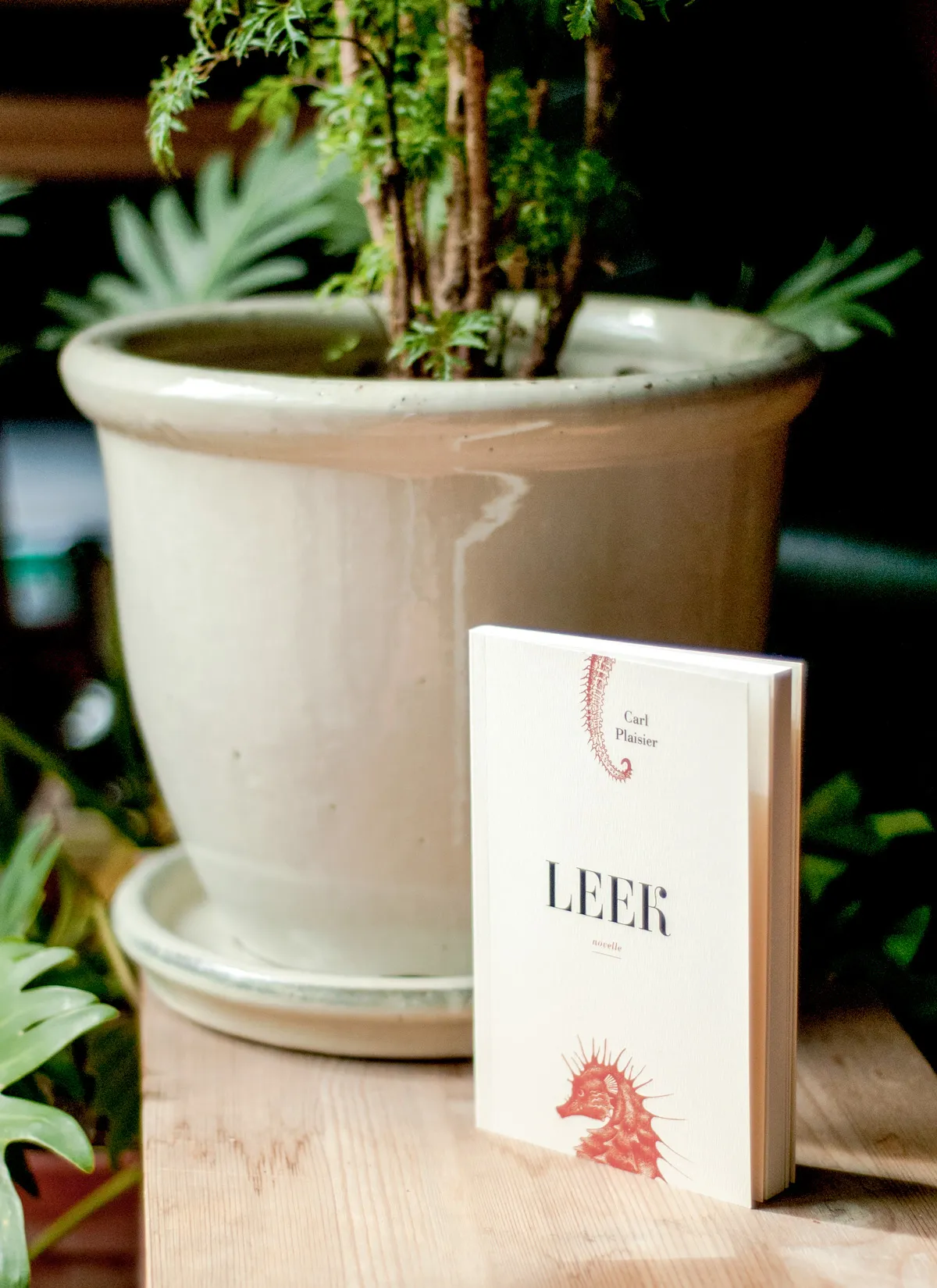 Leek