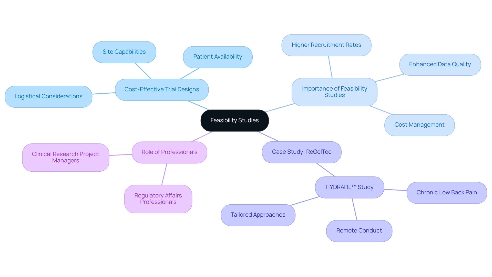 The central node represents feasibility studies, with branches illustrating key components, each color-coded for easy identification.