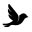 www.voiceofthesky.org favicon