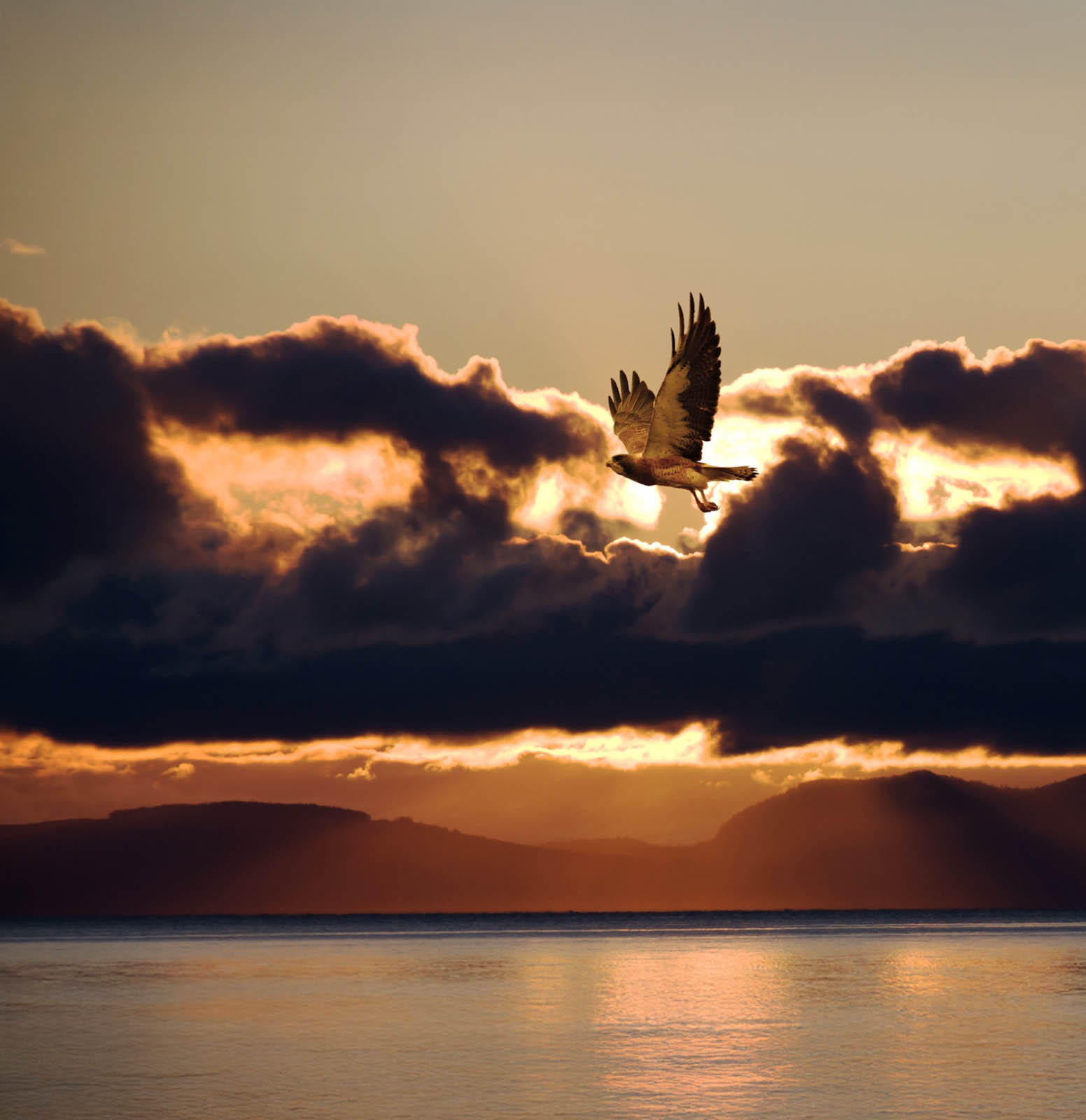 Voices of the sky.