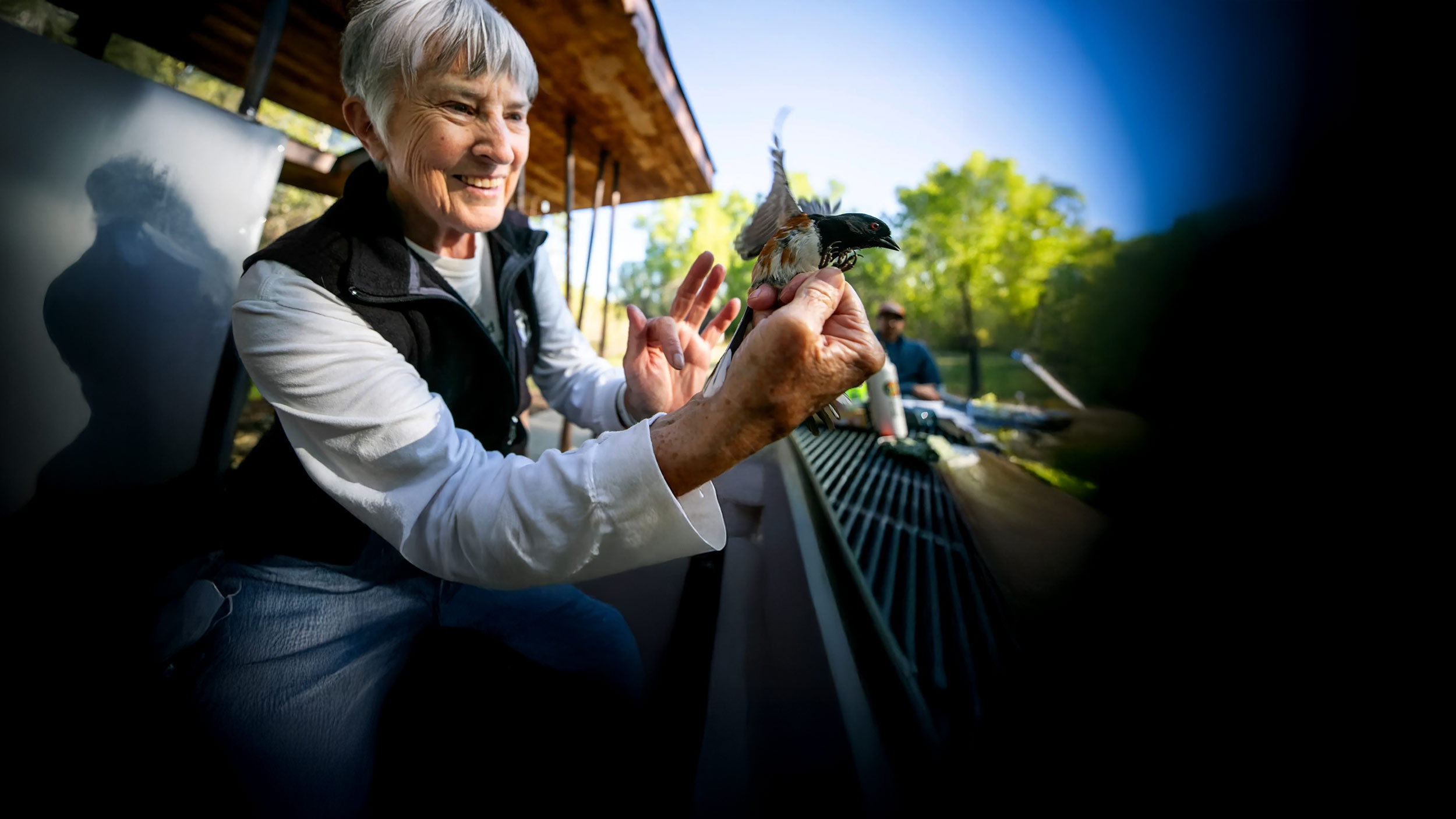 Bird numbers have dropped in the metro, but counting them can still inspire hope.
