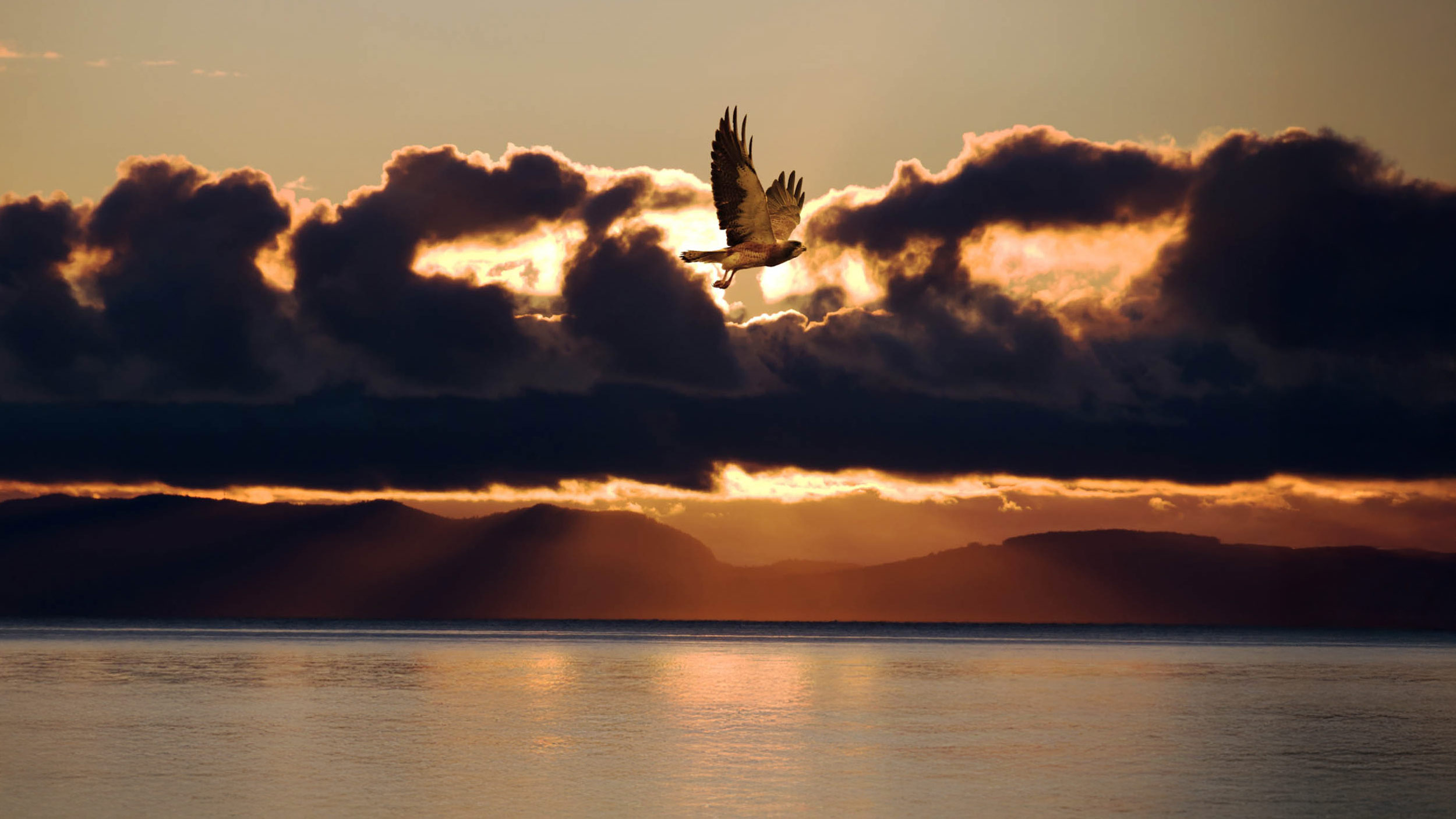 Voices of the sky.