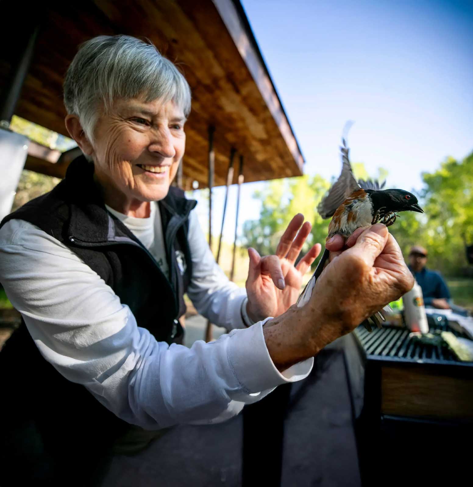 Bird numbers have dropped in the metro, but counting them can still inspire hope.